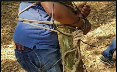Homem é torturado e amarrado em árvore por dívida de R$50,00 em Unaí; quatro agressores foram presos