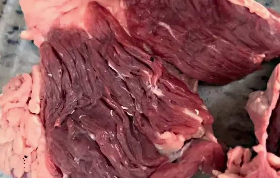 Supermercado de Minas Gerais que vendeu carne com larvas é condenado a pagar indenização