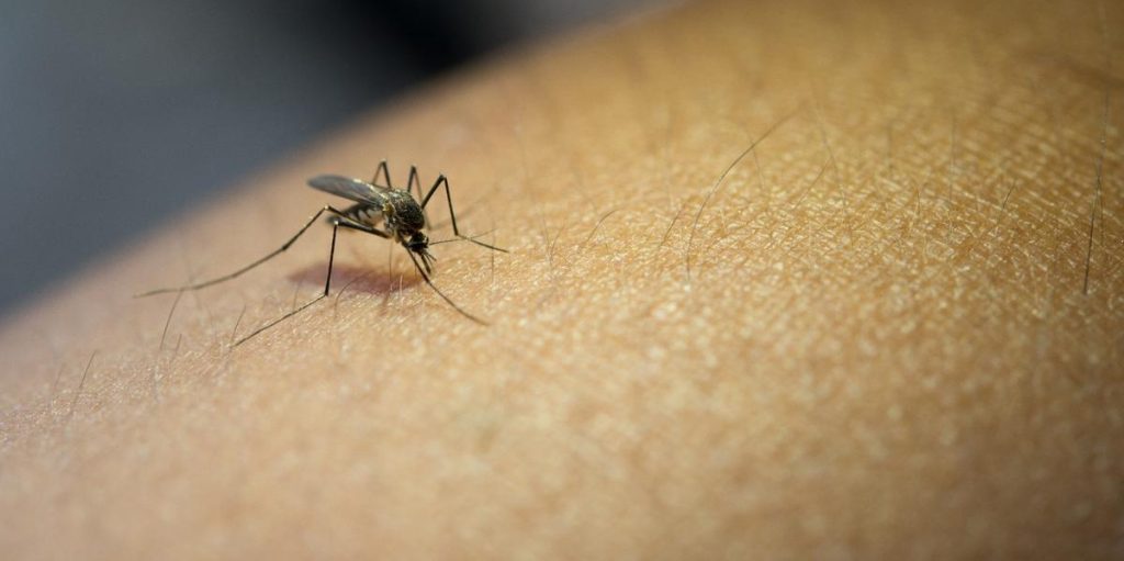 Minas já investiga pelo menos duas mortes suspeitas por dengue em 2024