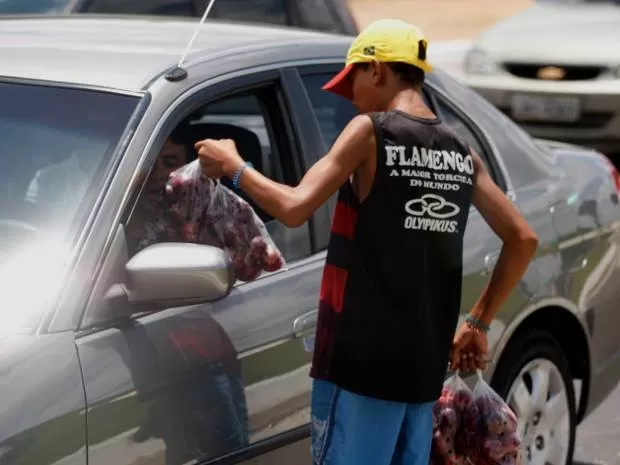 Trabalho infantil: Minas Gerais é o 2º Estado com maior número de flagrantes