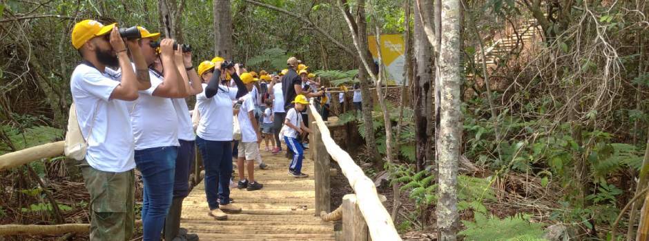 Guia de pássaros orienta observadores nos Parques Estaduais de Sagarana e Paracatu