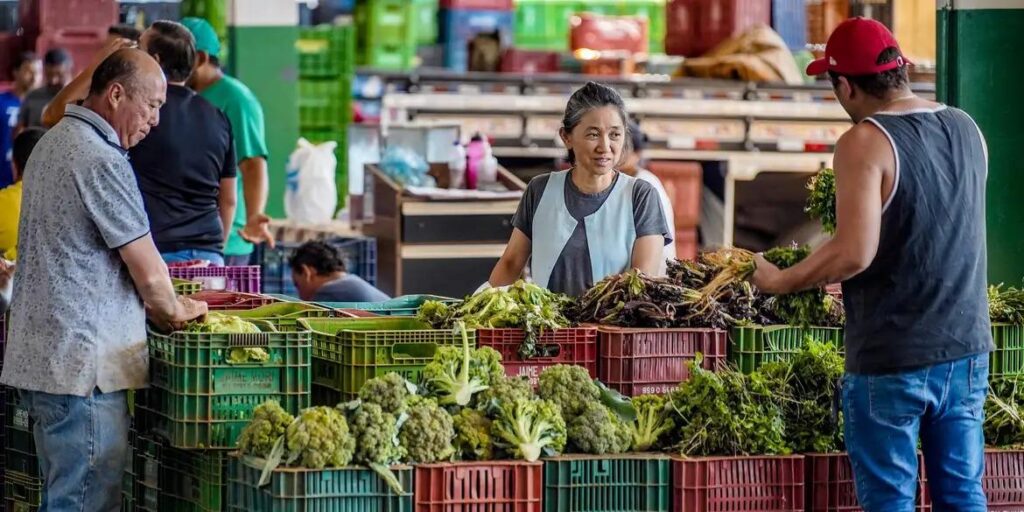 Anvisa inicia monitoramento de resíduos de agrotóxicos em alimentos; saiba quais serão coletados