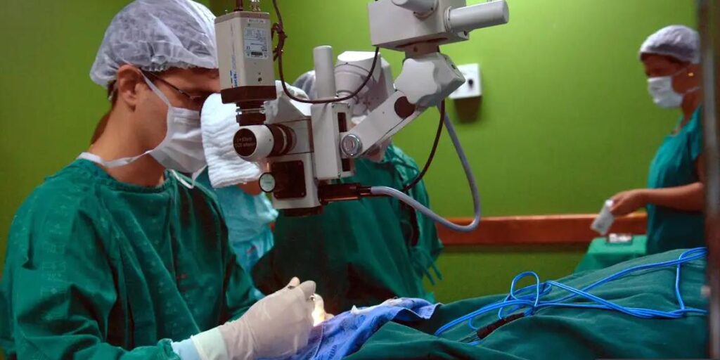 Novo plano em Minas busca ampliar captação de órgãos e reduzir tempo de espera por transplantes