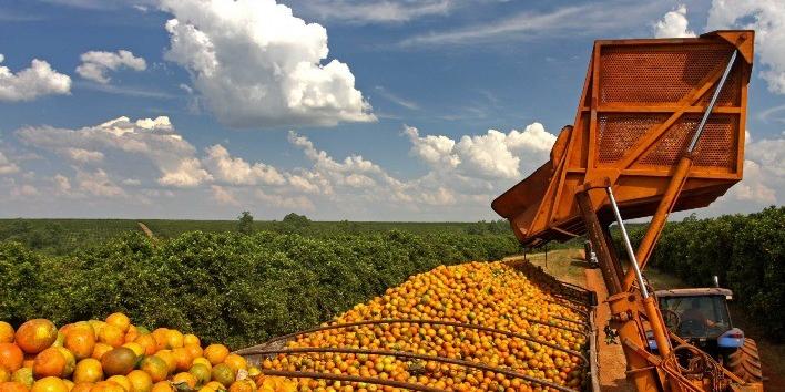 Tarifaço pode impactar vendas de suco de laranja, café, carne e frutas