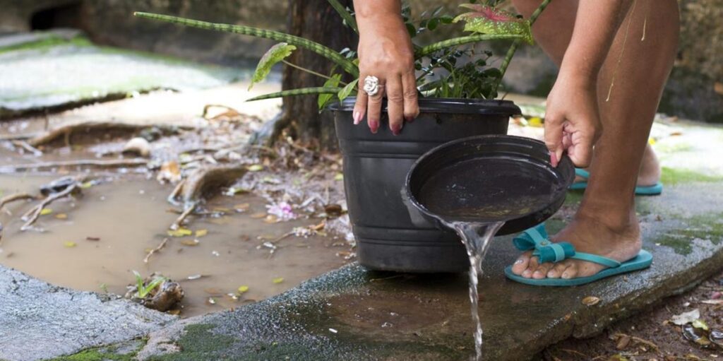 Mais de 600 cidades mineiras estão em alerta ou sob risco de dengue, chikungunya e zika