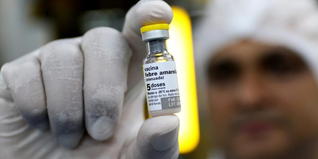 Febre amarela: mortes em SP aumentam alerta em Minas, que investiga 14 casos suspeitos