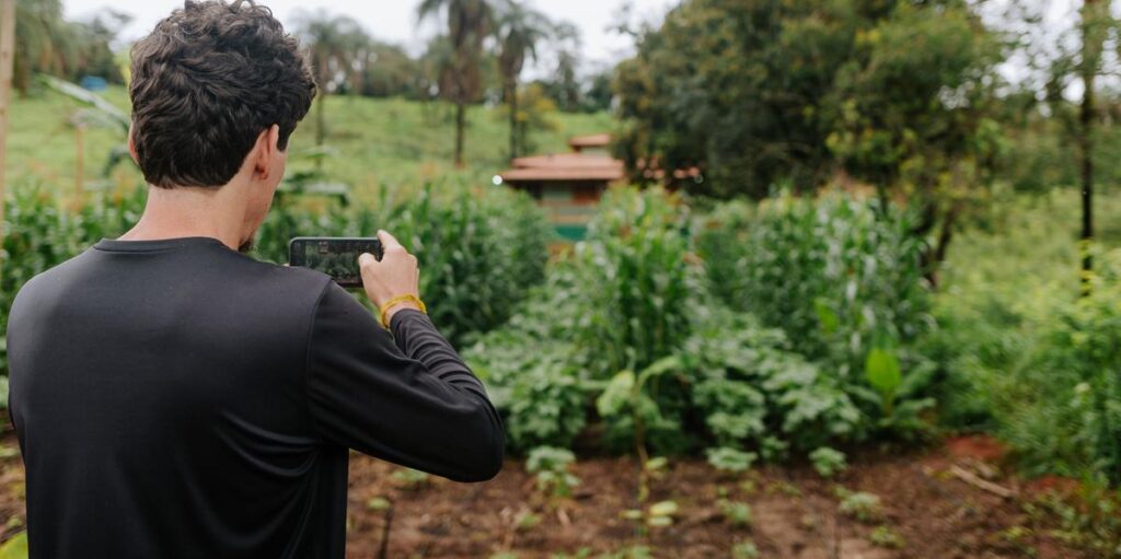 Previsão de El Niño antecipa tensão no agro em Minas; preço dos alimentos pode subir