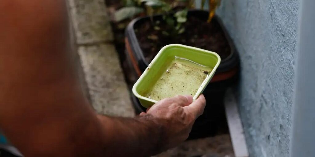 El Niño pode aumentar casos de chikungunya e dengue no Brasil