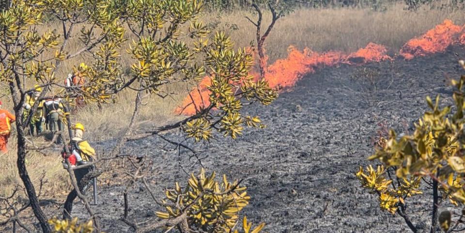 Minas tem 130 incêndios em vegetação por dia só em agosto