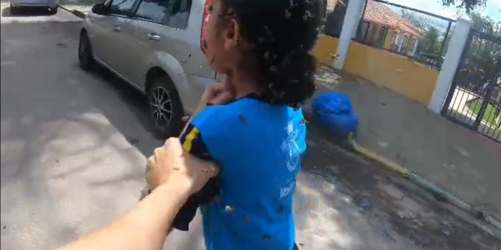 Menina atacada por abelhas posta vídeo e tranquiliza: ‘tô muito bem’